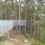 Sohlbergplatsen. Tallarna som förgrund till utsikten är en viktig del av upplevelsen. För att träd och mark skulle kunna bevaras byggdes betongkonstruktionen upphöjd på stålpelare. Bröstningen utgör bärande balk. Foto: Anita Stenler