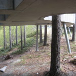 Sohlbergplatsen. Plattformen är noga inplacerad bland tallstammarna, och har hål som släpper ned ljus och vatten till marken. De snedställda stålpelarna är nedborrade med specialrigg till fast berg upp till 12 meter under ljungmarken. Foto: Anita Stenler