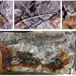 Foto: Carlos Gil Berrocal (2017)