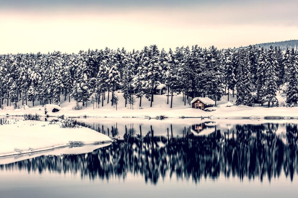 Bild: Shutterstock.com